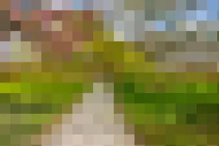 Hoog Soeren 46 Hoog Soeren thumbnail 50