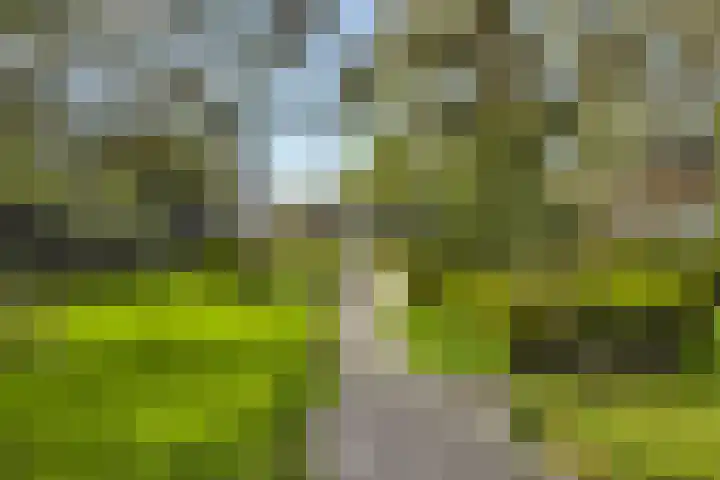 Hoog Soeren 46 Hoog Soeren thumbnail 51