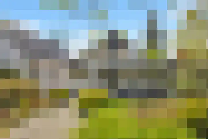 Hoog Soeren 46 Hoog Soeren thumbnail 52