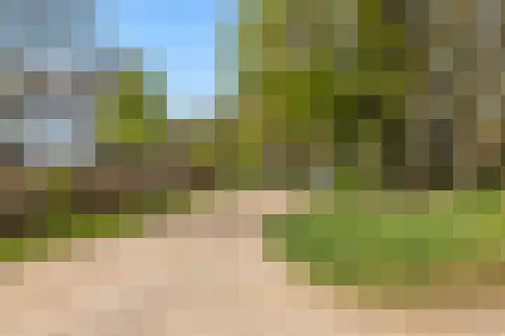 Hoog Soeren 46 Hoog Soeren thumbnail 53