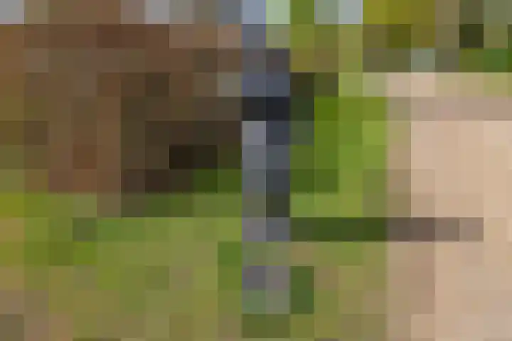 Hoog Soeren 46 Hoog Soeren thumbnail 54