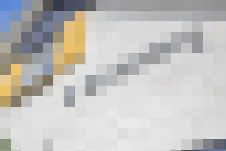 Hoog Soeren 46 Hoog Soeren thumbnail 7