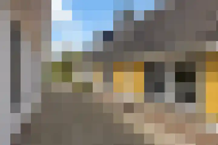 Hoog Soeren 46 Hoog Soeren thumbnail 8