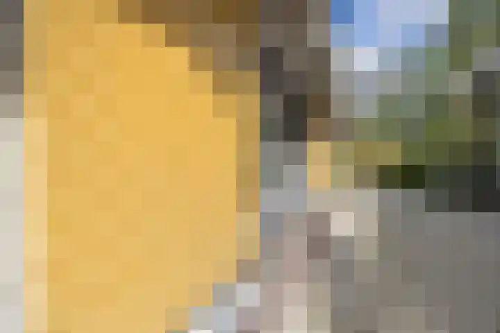Hoog Soeren 46 Hoog Soeren thumbnail 9