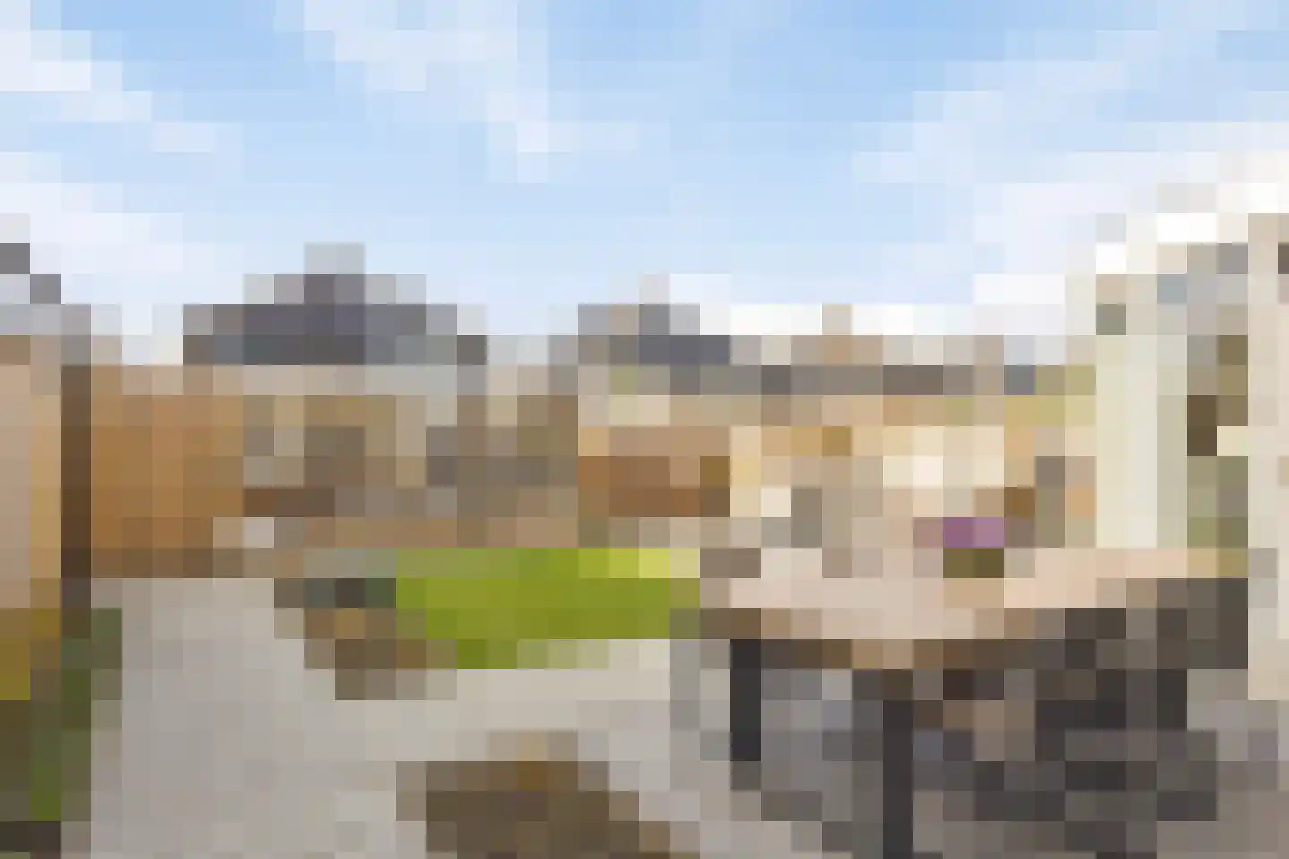 Hoogaars 10 Bergen op Zoom thumbnail 43