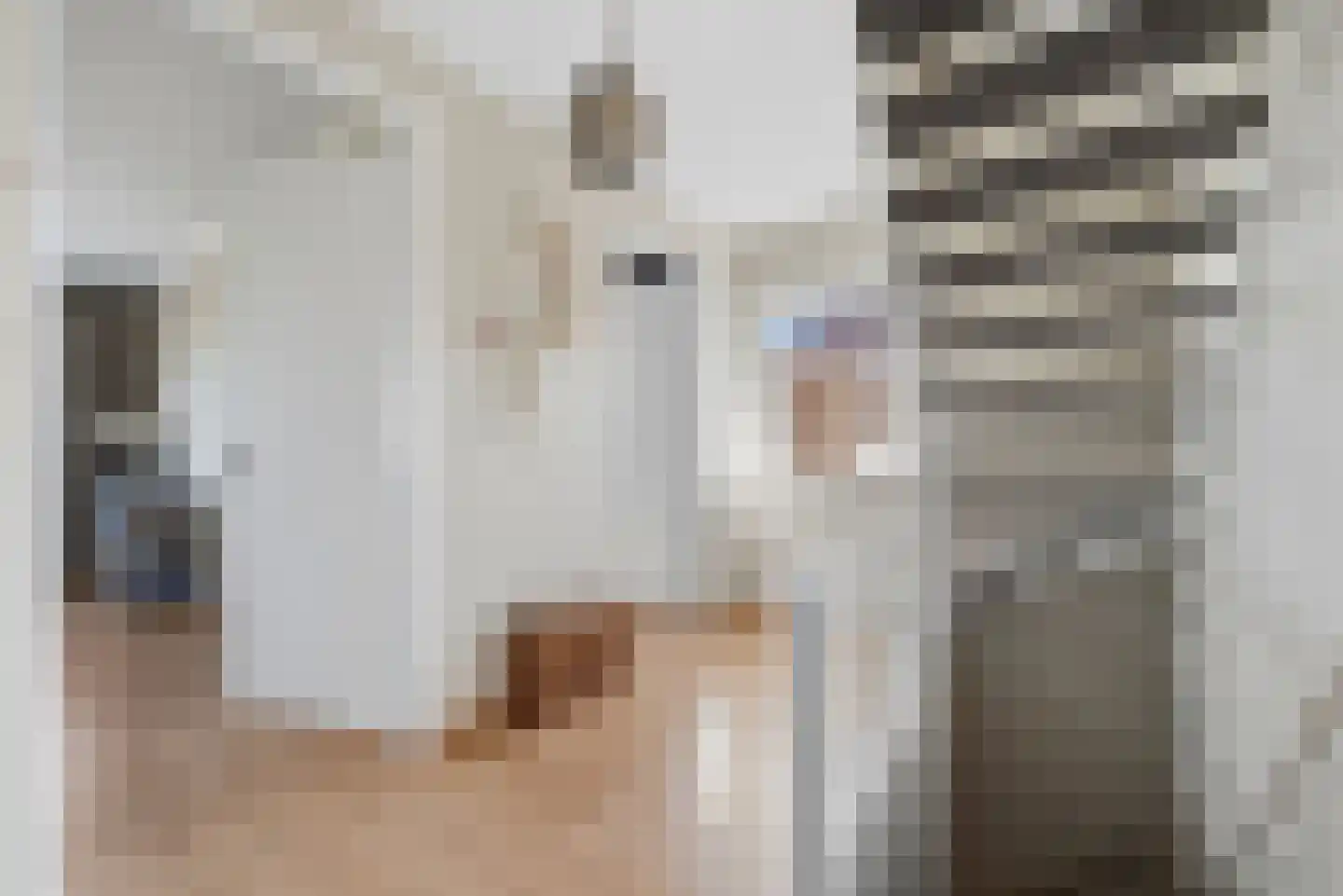Hoogaars 20 Arnemuiden thumbnail 21