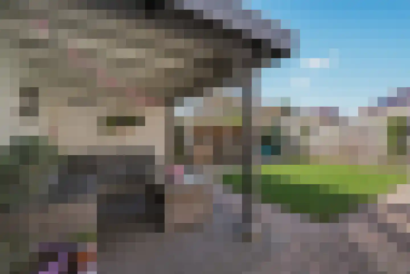 Hoogaars 20 Arnemuiden thumbnail 39
