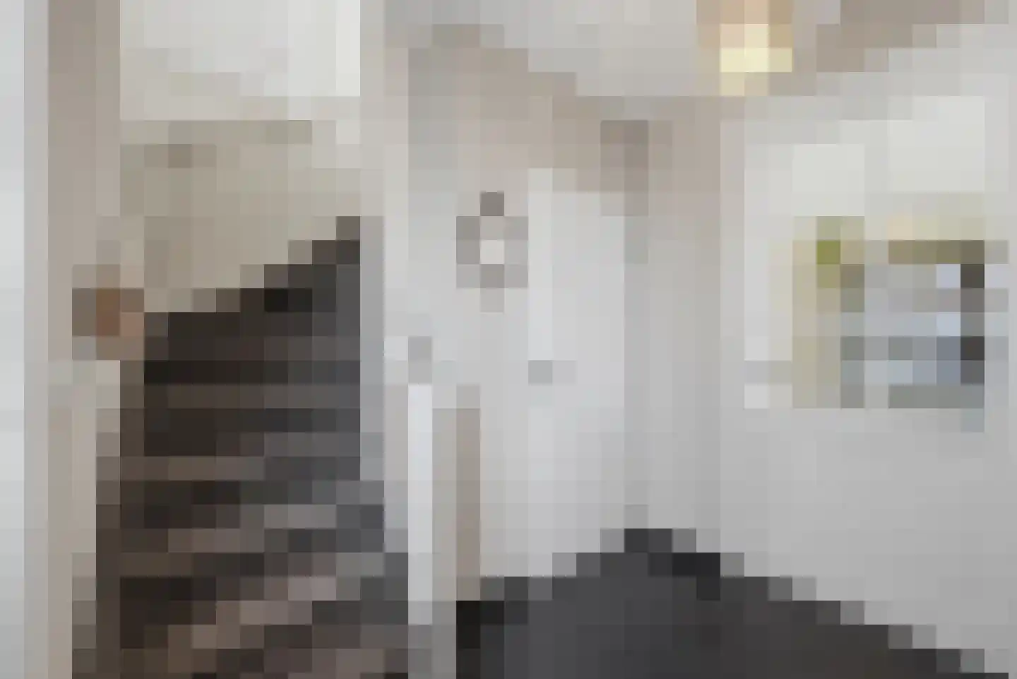 Hoogaars 20 Arnemuiden thumbnail 6