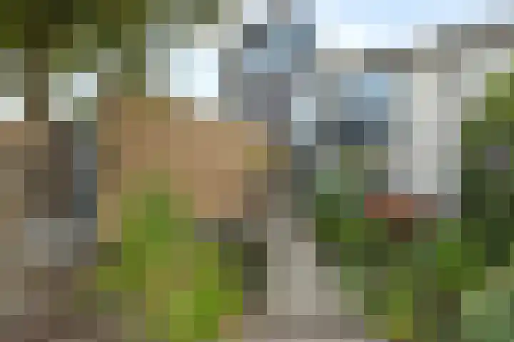 Hoogaars 20 Bergen op Zoom thumbnail 10