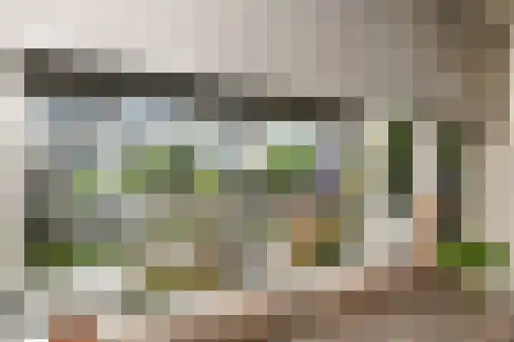 Hoogaars 20 Bergen op Zoom thumbnail 13
