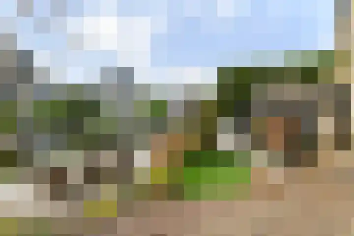 Hoogaars 20 Bergen op Zoom thumbnail 30