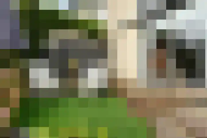 Hoogaars 20 Bergen op Zoom thumbnail 31