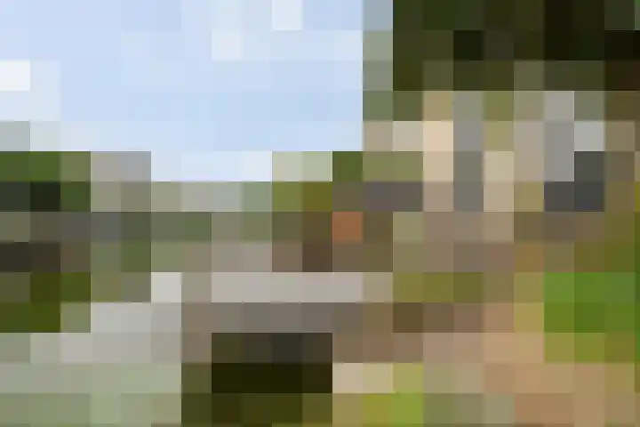 Hoogaars 20 Bergen op Zoom thumbnail 32
