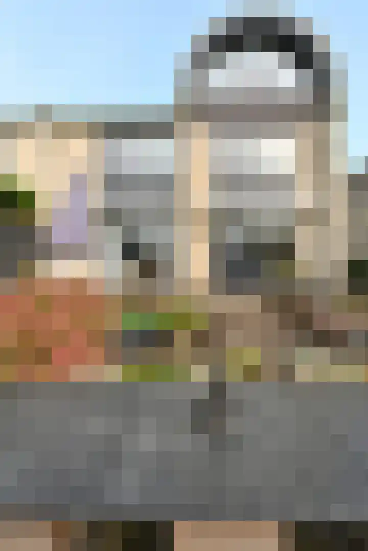 Hoogaars 20 Bergen op Zoom thumbnail 34