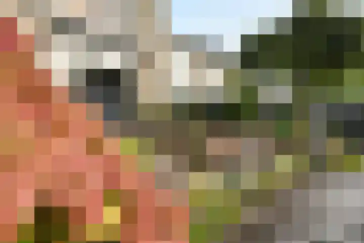Hoogaars 20 Bergen op Zoom thumbnail 35