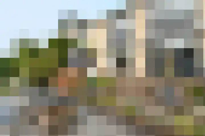 Hoogaars 20 Bergen op Zoom thumbnail 37