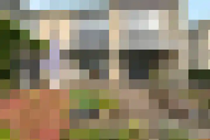 Hoogaars 20 Bergen op Zoom thumbnail 38