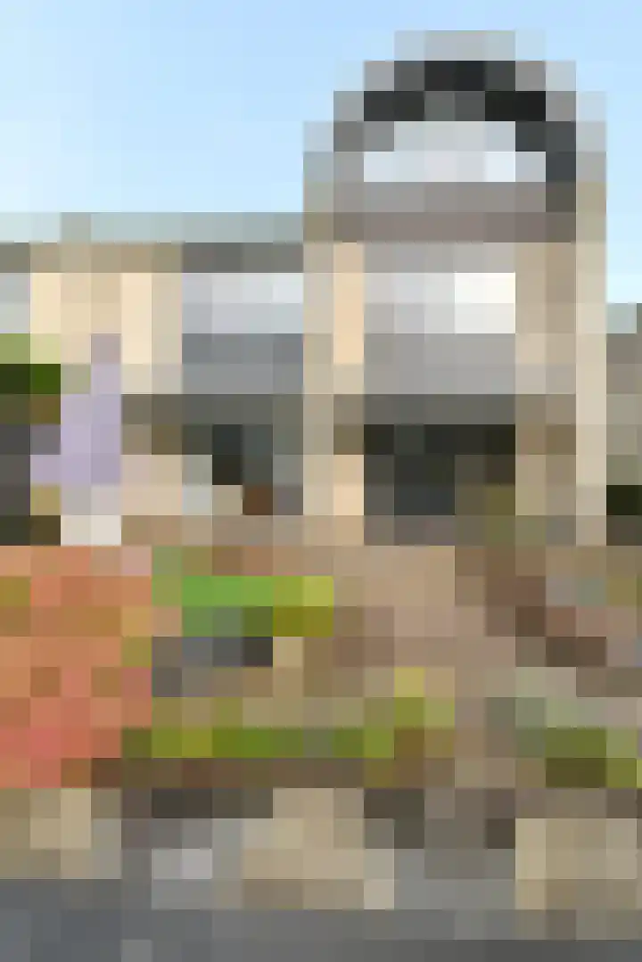 Hoogaars 20 Bergen op Zoom thumbnail 39