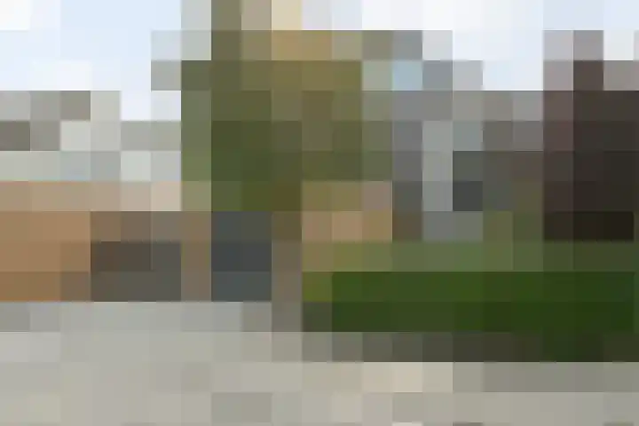 Hoogaars 20 Bergen op Zoom thumbnail 6