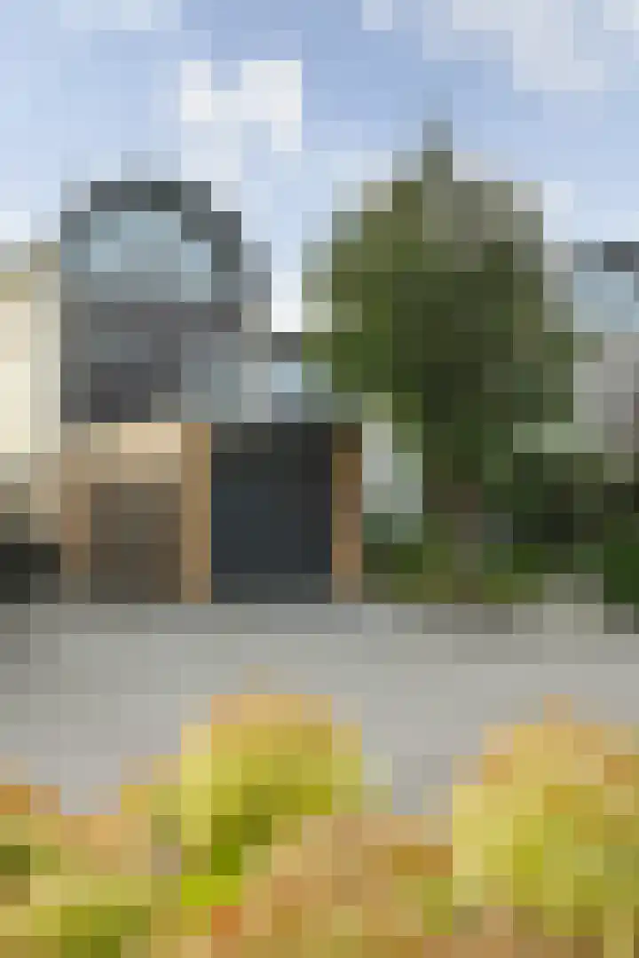 Hoogaars 20 Bergen op Zoom thumbnail 7