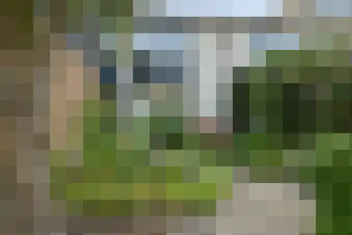 Hoogaars 20 Bergen op Zoom thumbnail 8