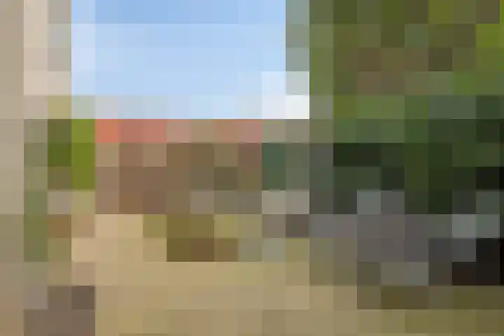 Hoogaars 26 Bergen op Zoom thumbnail 39