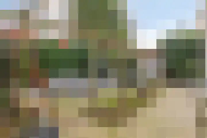 Hoogaars 26 Bergen op Zoom thumbnail 40
