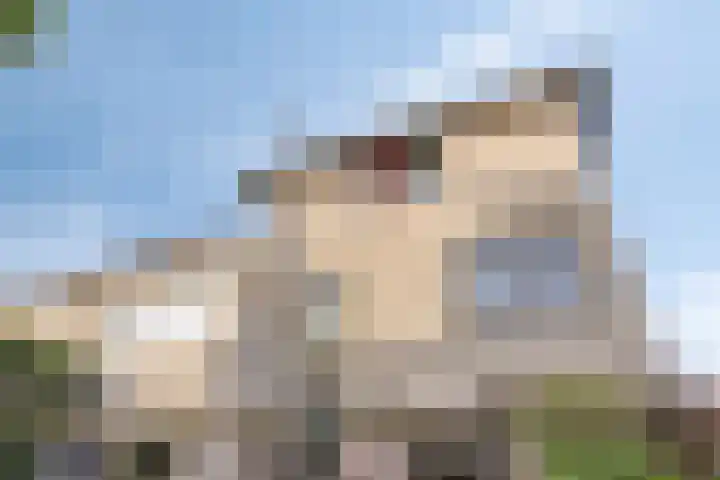 Hoogaars 26 Bergen op Zoom thumbnail 46