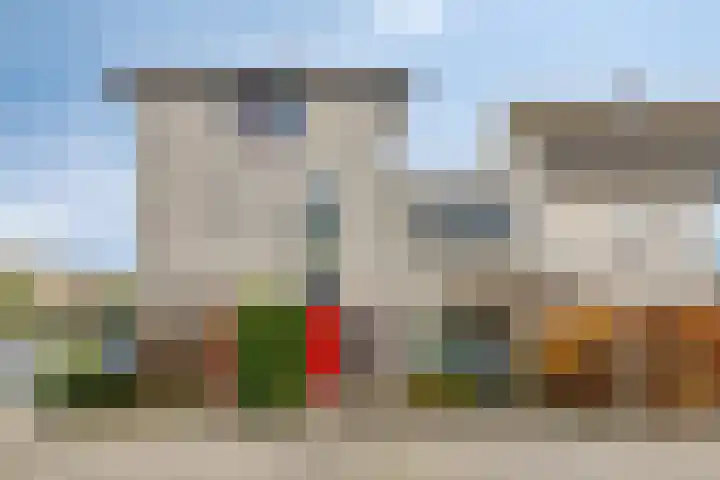 Hoogaars 26 Bergen op Zoom thumbnail 50