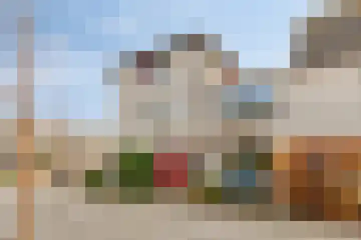 Hoogaars 26 Bergen op Zoom thumbnail 51