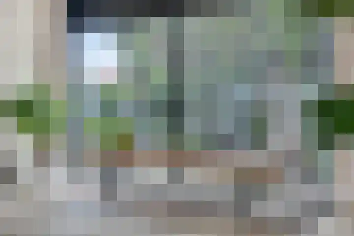 Hoogaars 26 Bergen op Zoom thumbnail 7