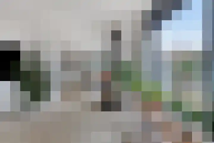Hoogaars 26 Bergen op Zoom thumbnail 8