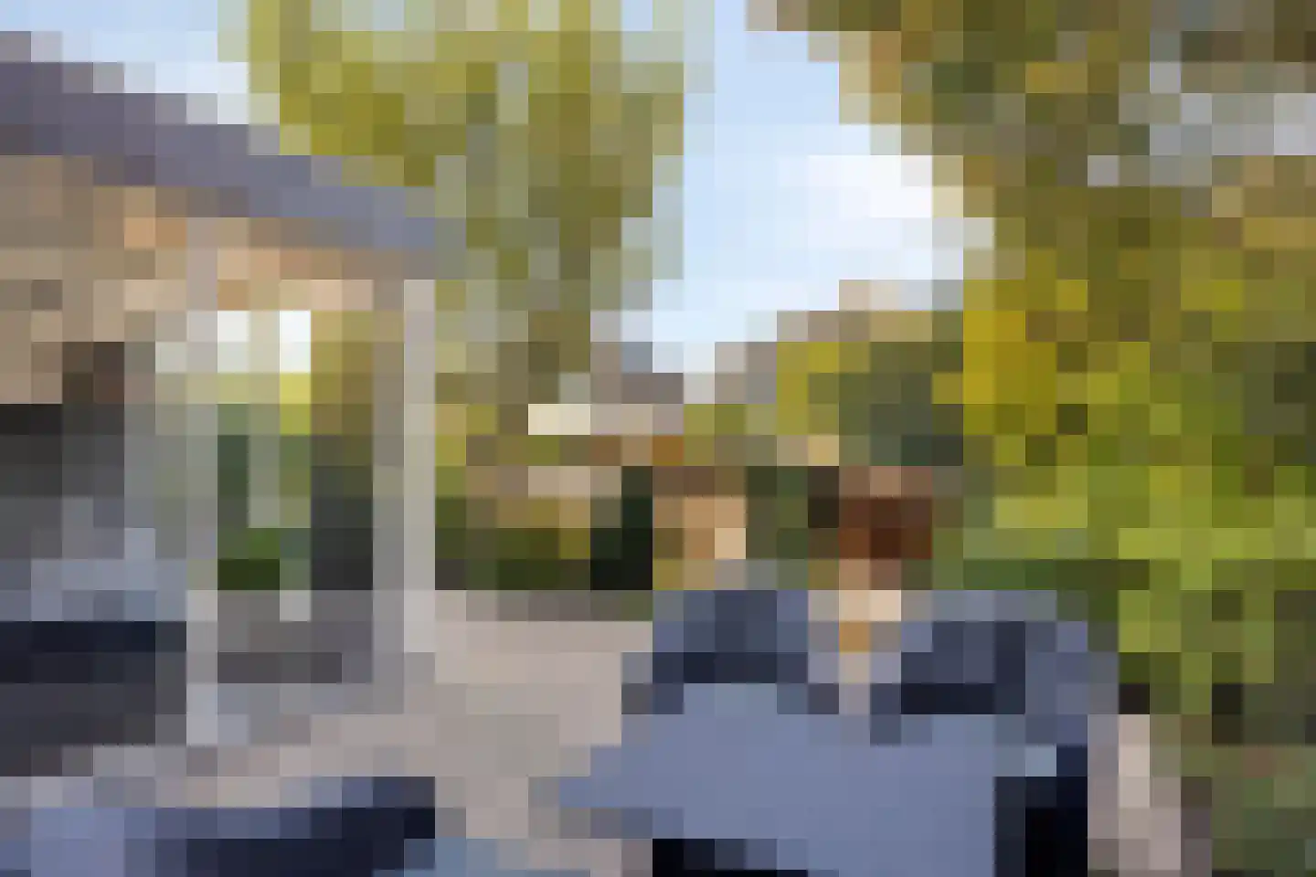 Hoogaars 3 Bergen op Zoom thumbnail 26