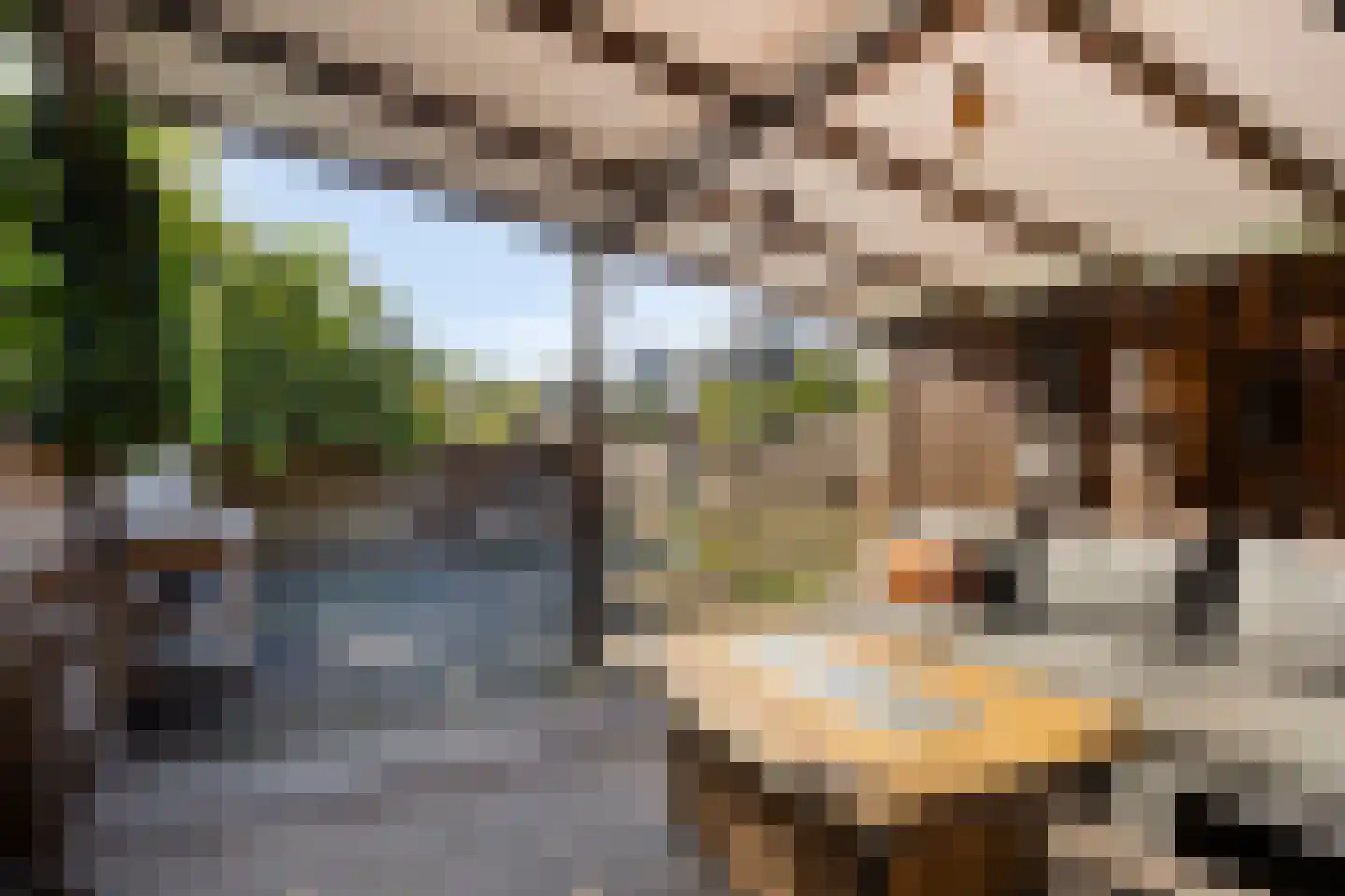 Hoogaars 3 Bergen op Zoom thumbnail 31