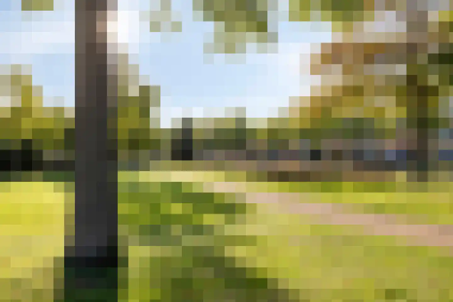 Hoogaars 3 Bergen op Zoom thumbnail 37