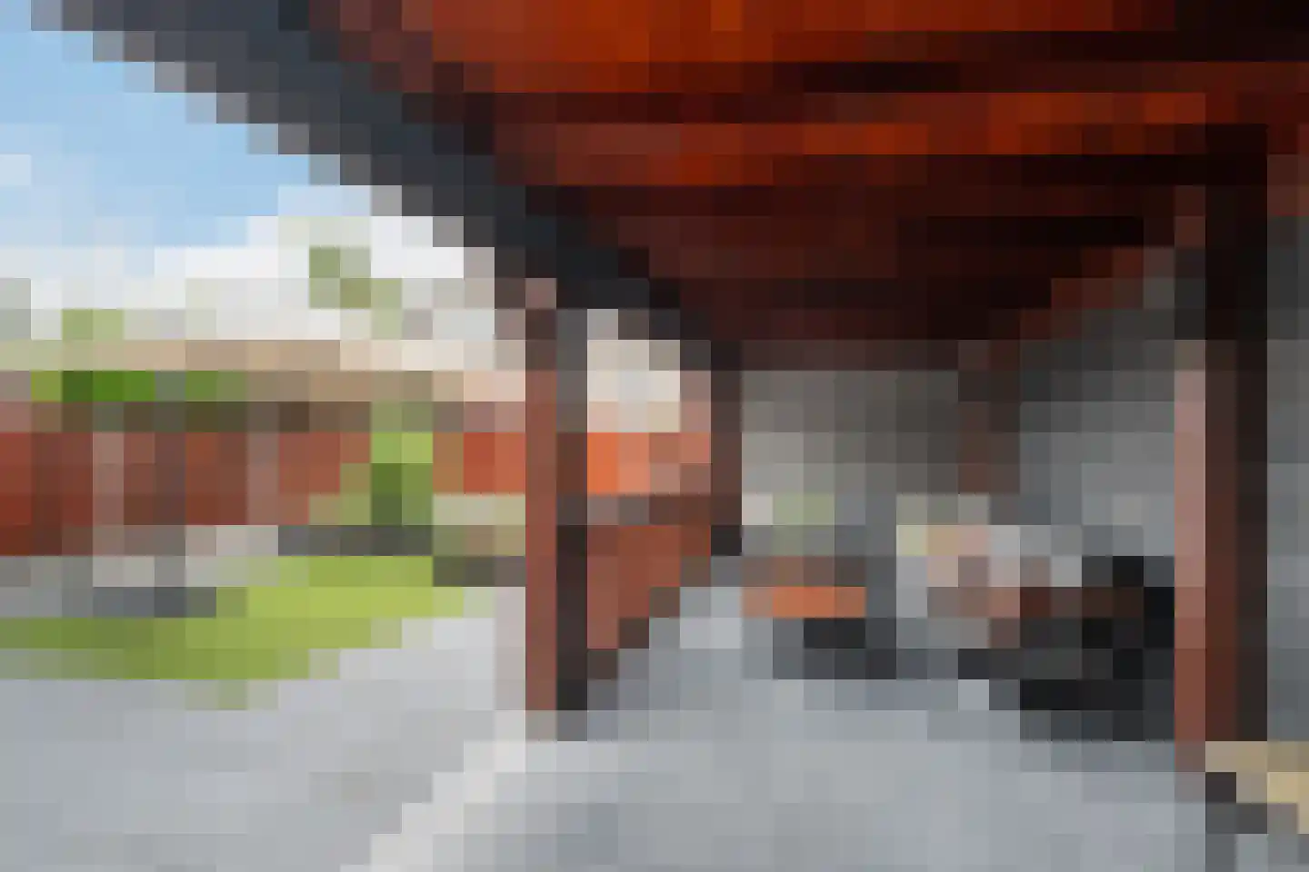 Hoogaars 50 Schiedam thumbnail 5