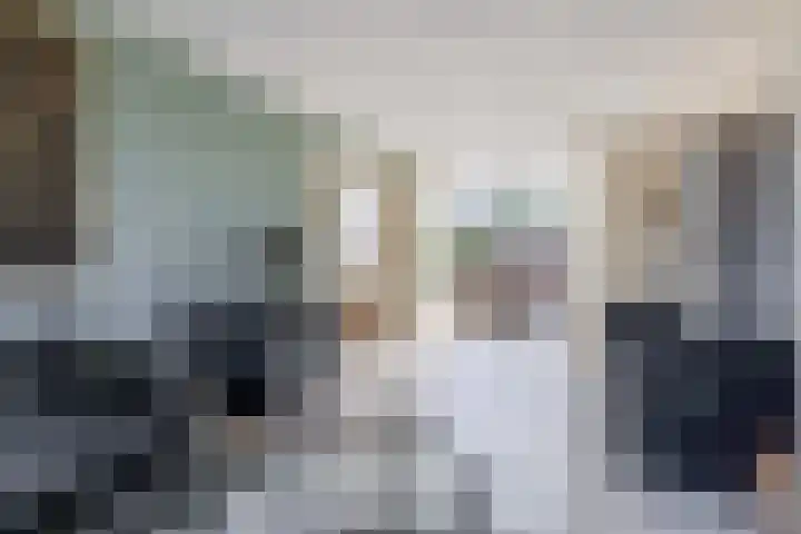 Hoogaars 57 Brielle thumbnail 17
