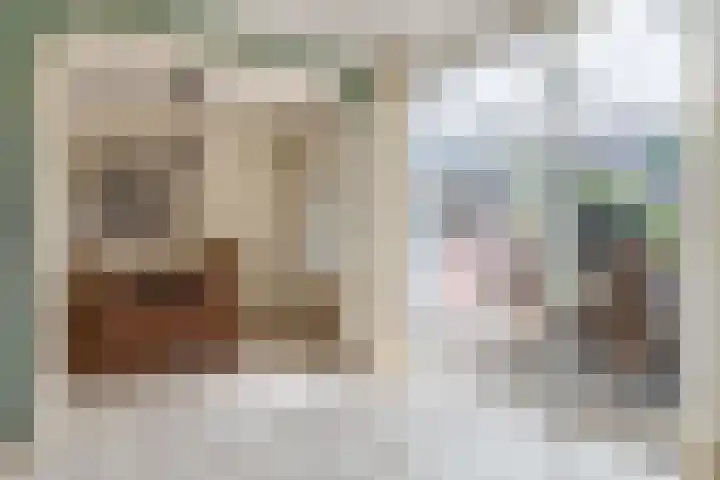 Hoogaars 57 Brielle thumbnail 19