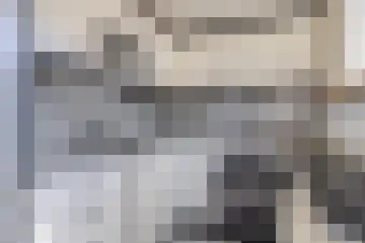 Hoogaars 57 Brielle thumbnail 22