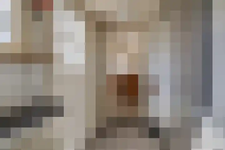 Hoogaars 57 Brielle thumbnail 24