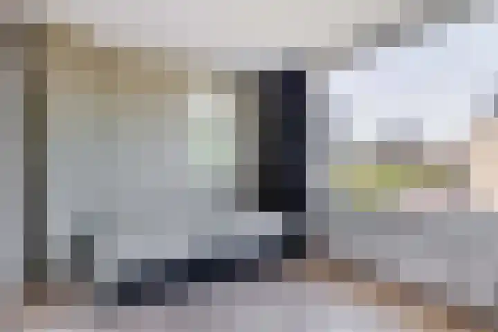 Hoogaars 57 Brielle thumbnail 28