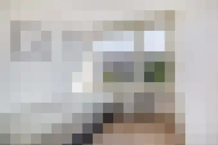Hoogaars 57 Brielle thumbnail 30