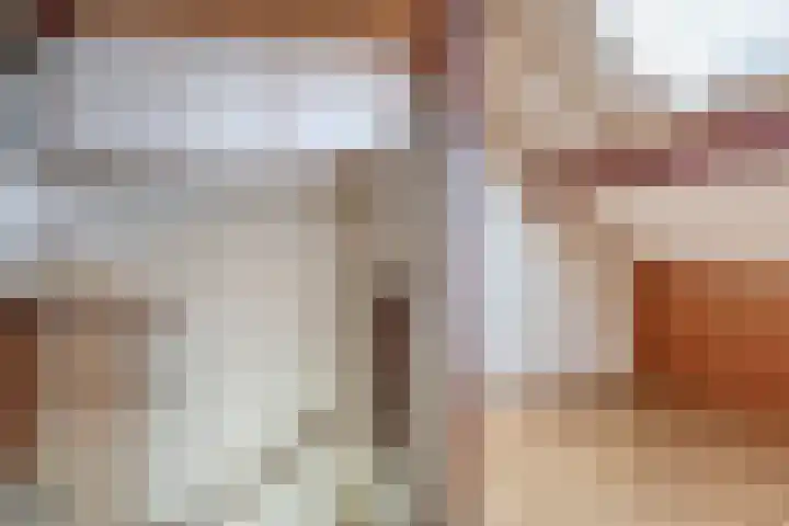 Hoogaars 57 Brielle thumbnail 34