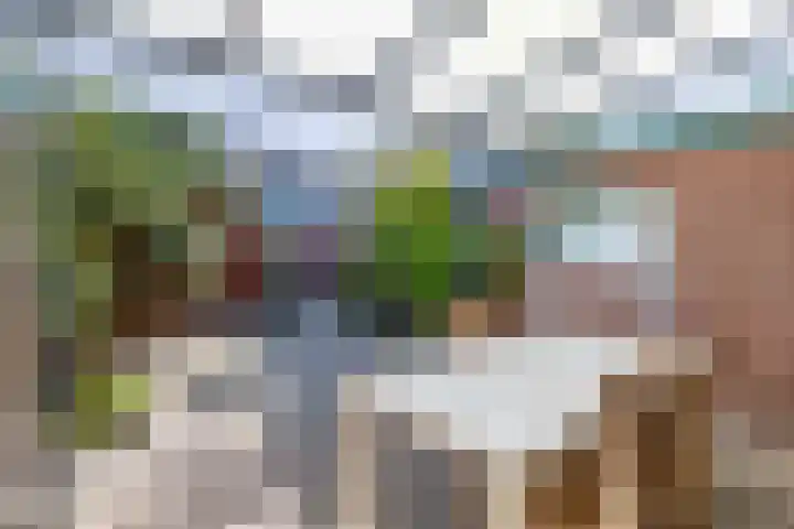 Hoogaars 57 Brielle thumbnail 37