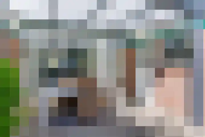 Hoogaars 57 Brielle thumbnail 39