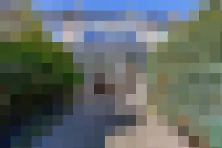 Hoogaars 57 Brielle thumbnail 4