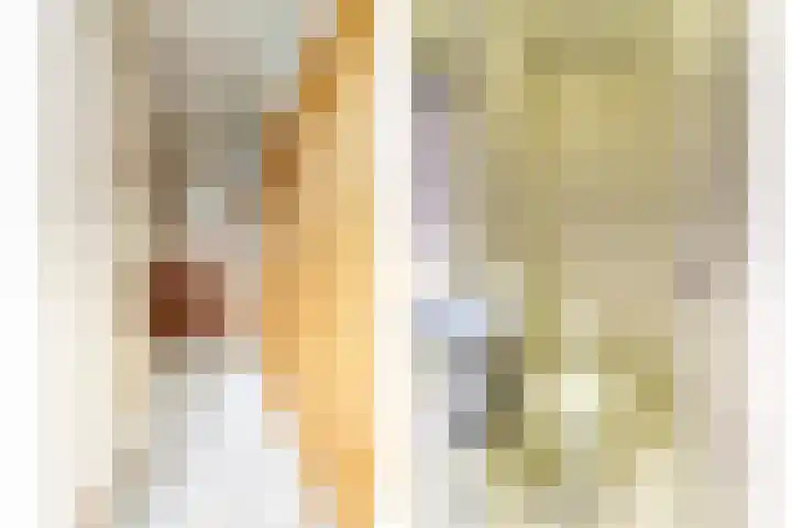 Hoogaars 70 Brielle thumbnail 14