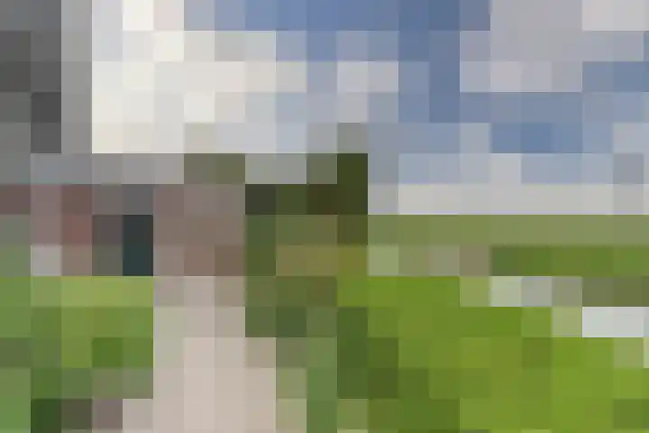Hoogaars 70 Brielle thumbnail 33