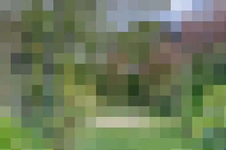 Hoogaars 70 Brielle thumbnail 35