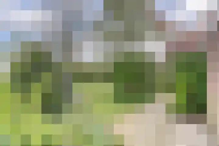 Hoogaars 70 Brielle thumbnail 38